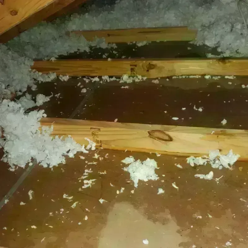 Attic Water Damage in Beaverton, OR